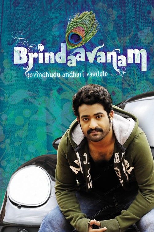 Brindavanam (The Super Khiladi) 2010 Hindi Dubbed Movie download full movie