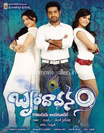 Brindavanam - The Super Khiladi (2010) UNCUT Hindi Dubbed WEB-HDRip download full movie