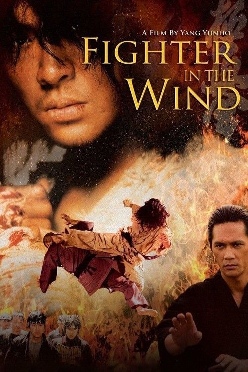 Fighter in the Wind (2004) Hindi Dubbed Movie download full movie