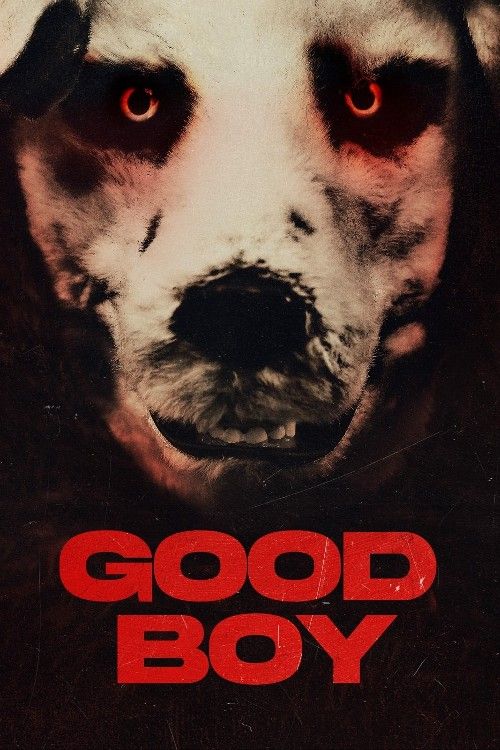 Good Boy 2022 Hindi Dubbed Movie download full movie