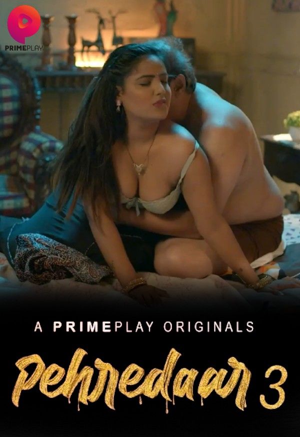 Pehredaar (2023) S03E02 PrimePlay Hindi Web Series HDRip download full movie