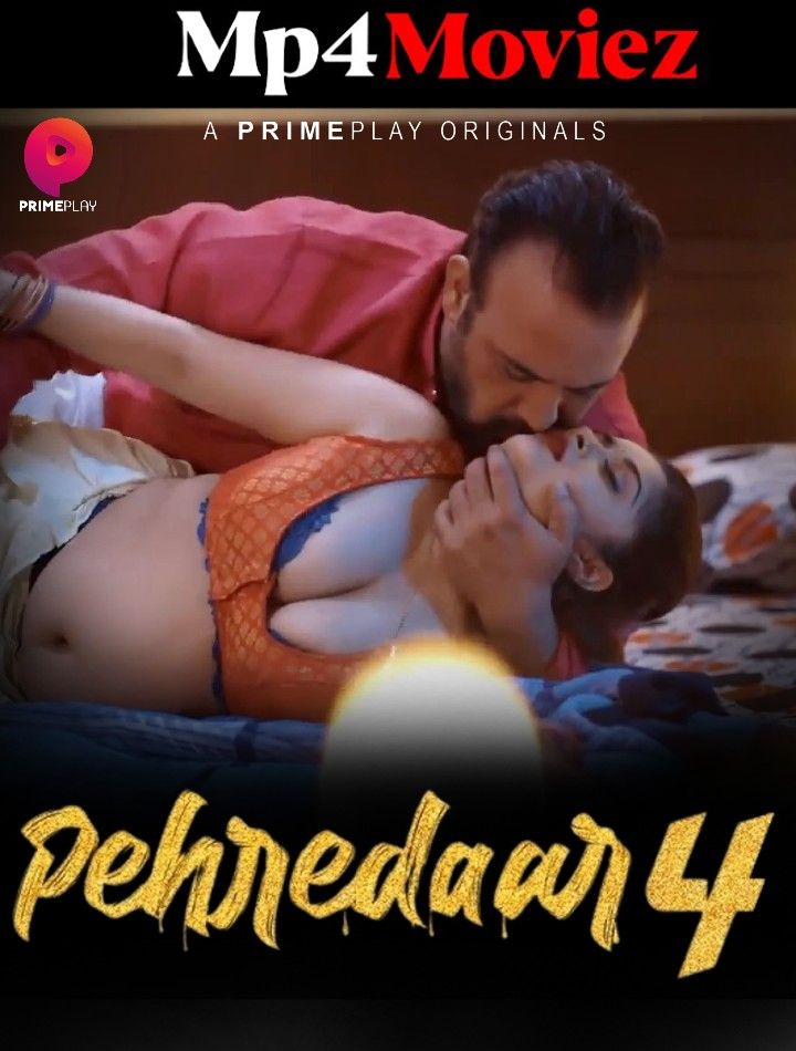 Pehredaar (2023) S04E08 Hindi PrimePlay Web Series HDRip download full movie