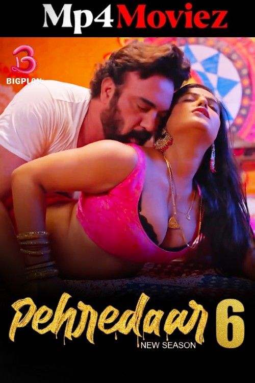 Pehredaar (2024) S06 Part 1 Hindi BigPlay Web Series download full movie