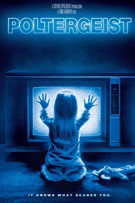 Poltergeist (1982) Hindi Dubbed BRRip download full movie