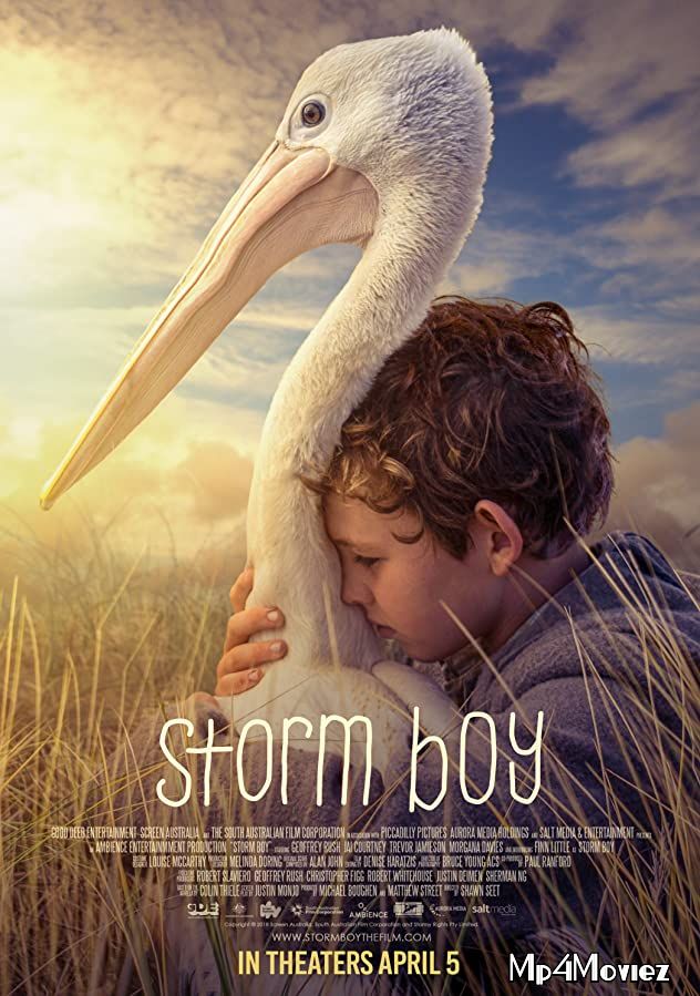 Storm Boy 2019 Hindi Dubbed Full Movie download full movie