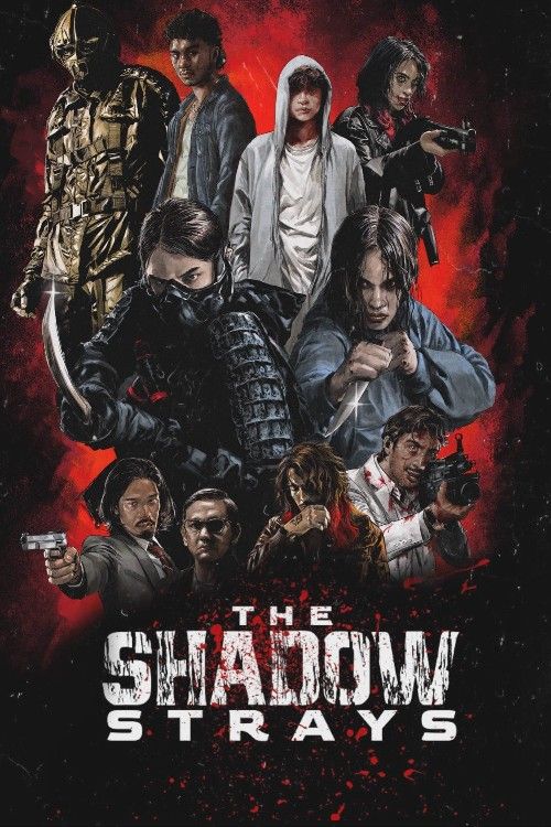 The Shadow Strays (2024) Hollywood Hindi Dubbed Movie download full movie