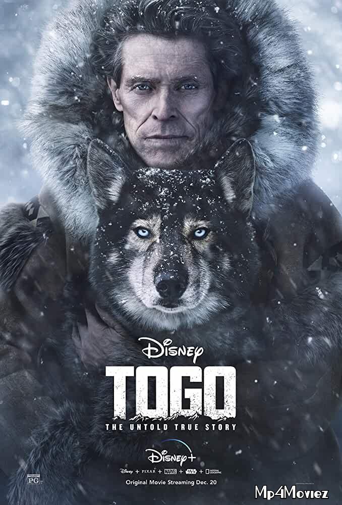 Togo 2019 Hindi Dubbed Movie download full movie