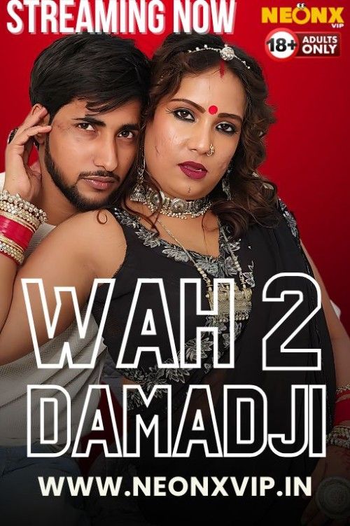 Wah Damad Ji 2 (2024) Hindi NeonX Short Film download full movie