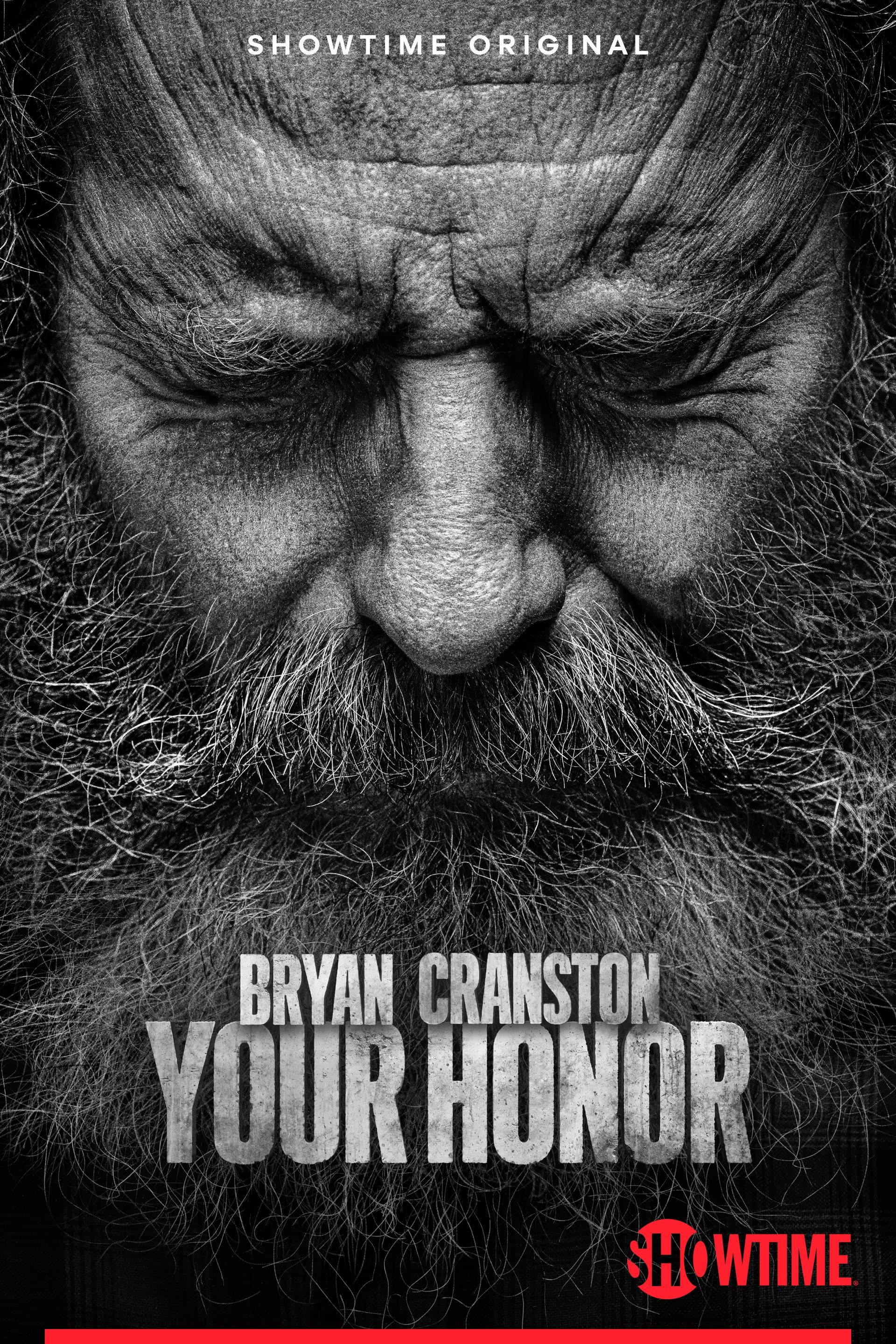 Your Honor (Season 2) 2023 Hindi Dubbed HDRip download full movie